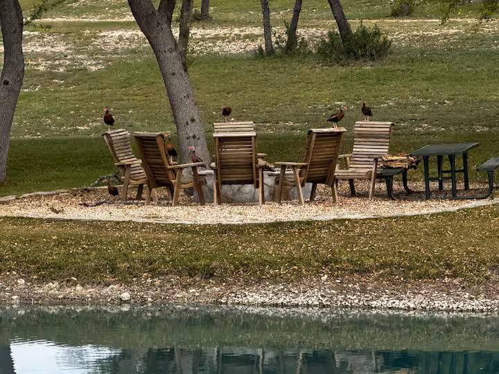 A circle of wooden chairs around the fire pit beside the pond