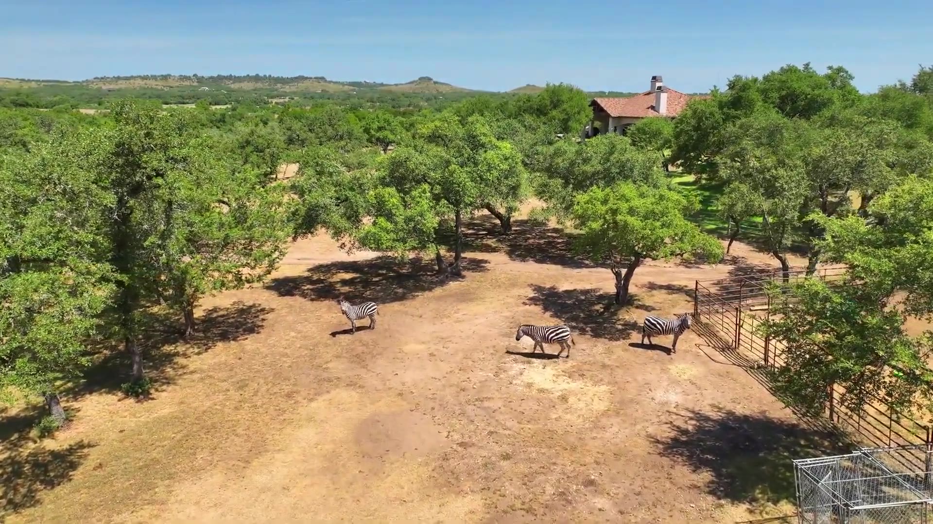An aerial view of the ranch's oak trees, open pasture and cabin